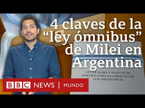 ¿Qué proyectos de ley ha presentado Milei?